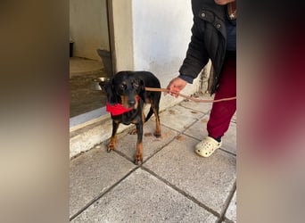 Handicap Lilith - schüchtern und freundlich