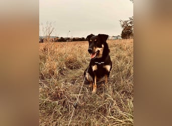 Verschmuste Fanny sucht ihre Familie