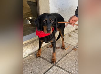 Handicap Lilith - schüchtern und freundlich