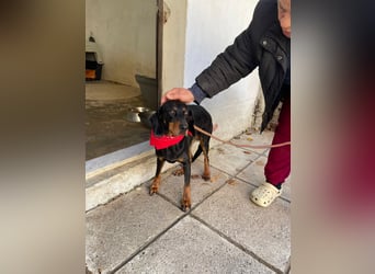 Handicap Lilith - schüchtern und freundlich