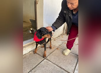 Handicap Lilith - schüchtern und freundlich