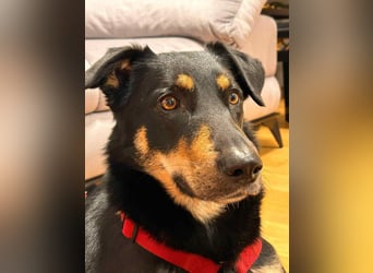 Verschmuste Fanny sucht ihre Familie