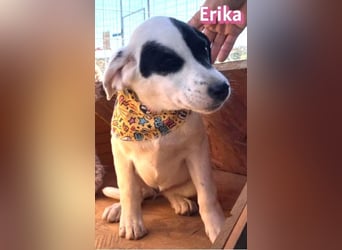 Erika - aufgeweckt und verspielt