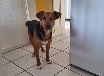 Ruhiger Felix *auf PS in 42855 Remscheid*