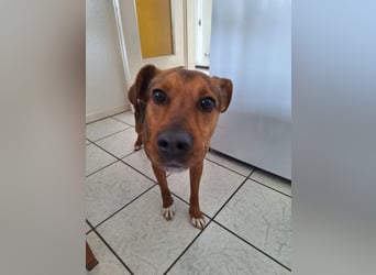 Ruhiger Felix *auf PS in 42855 Remscheid*