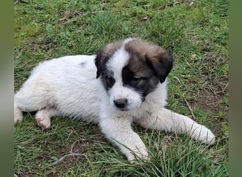 Berlin - möchte die Welt erobern! Mit Ihnen?