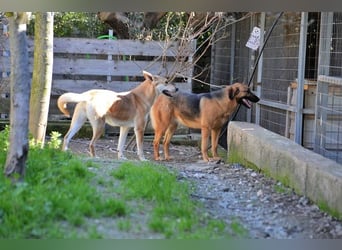 Saya - nach 7 Jahren jetzt eine tolle Verwandlung!