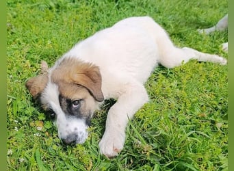 Berlin - möchte die Welt erobern! Mit Ihnen?