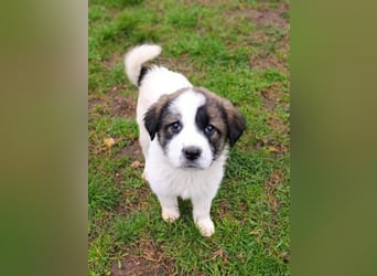 Berlin - möchte die Welt erobern! Mit Ihnen?