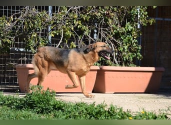 Saya - nach 7 Jahren jetzt eine tolle Verwandlung!