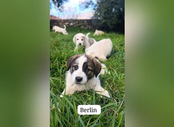 Berlin - möchte die Welt erobern! Mit Ihnen?