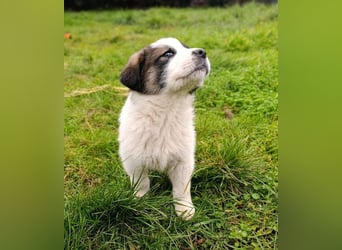 Berlin - möchte die Welt erobern! Mit Ihnen?