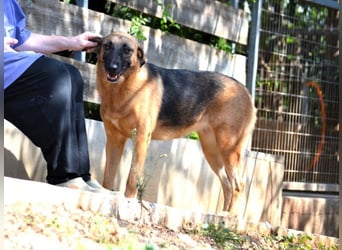 Saya - nach 7 Jahren jetzt eine tolle Verwandlung!