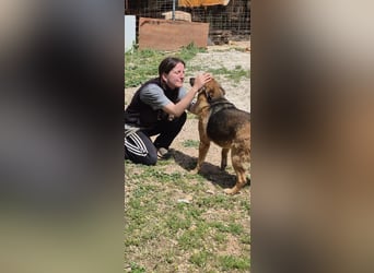 Saya - nach 7 Jahren jetzt eine tolle Verwandlung!