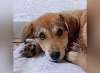 Palma - zu wem darf ich gehören?