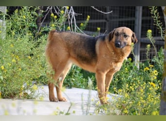 Saya - nach 7 Jahren jetzt eine tolle Verwandlung!