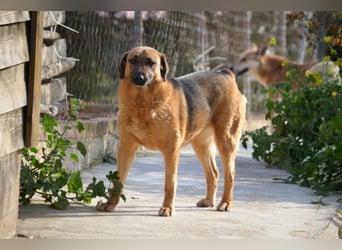 Saya - nach 7 Jahren jetzt eine tolle Verwandlung!