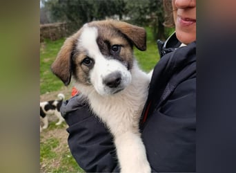 Berlin - möchte die Welt erobern! Mit Ihnen?