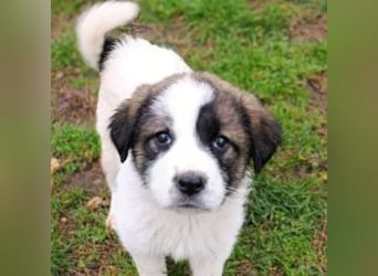 Berlin - möchte die Welt erobern! Mit Ihnen?