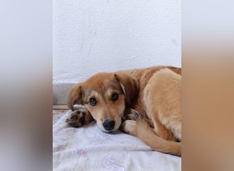 Palma - zu wem darf ich gehören?