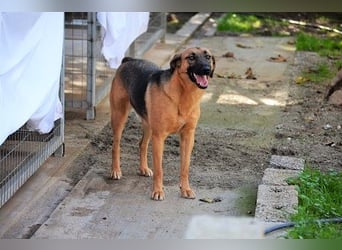 Saya - nach 7 Jahren jetzt eine tolle Verwandlung!