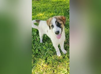 Berlin - möchte die Welt erobern! Mit Ihnen?