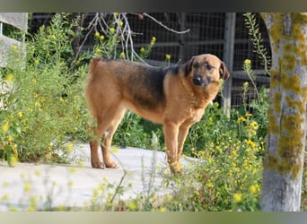 Saya - nach 7 Jahren jetzt eine tolle Verwandlung!