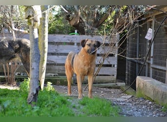 Saya - nach 7 Jahren jetzt eine tolle Verwandlung!