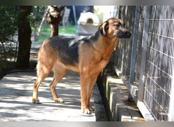 Saya - nach 7 Jahren jetzt eine tolle Verwandlung!