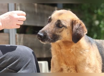 Saya - nach 7 Jahren jetzt eine tolle Verwandlung!