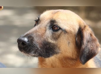 Saya - nach 7 Jahren jetzt eine tolle Verwandlung!