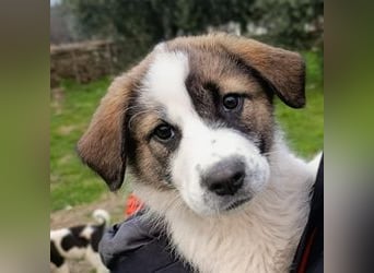 Berlin - möchte die Welt erobern! Mit Ihnen?