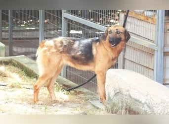 Saya - nach 7 Jahren jetzt eine tolle Verwandlung!