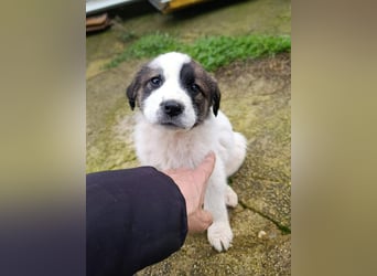 Berlin - möchte die Welt erobern! Mit Ihnen?