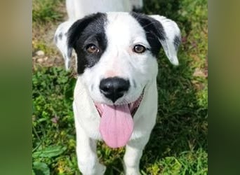 Boubou - wo darf ich einziehen?