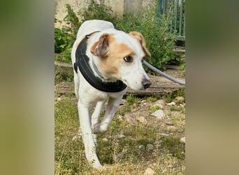Bimba, schon ziemlich eigenständig