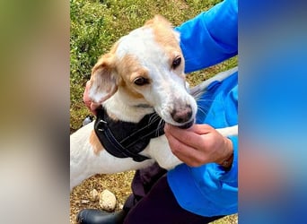 Bimba, schon ziemlich eigenständig