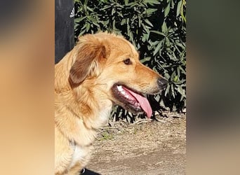 Otschi, noch ausbaufähig