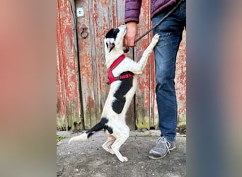 Neca, die selbstbewusste
