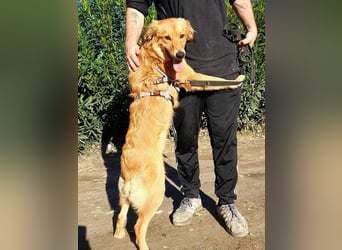 Otschi, noch ausbaufähig