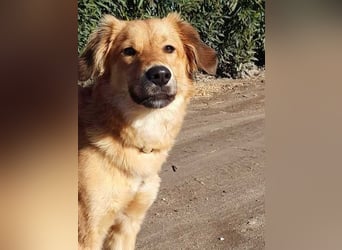 Otschi, noch ausbaufähig