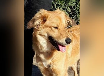 Otschi, noch ausbaufähig