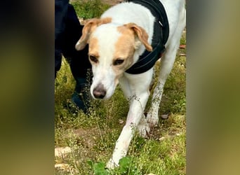 Bimba, schon ziemlich eigenständig