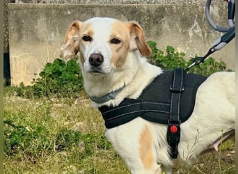 Bimba, schon ziemlich eigenständig