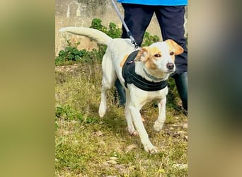 Bimba, schon ziemlich eigenständig