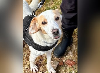 Bimba, schon ziemlich eigenständig