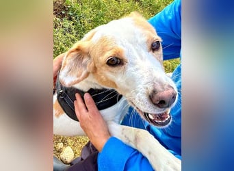 Bimba, schon ziemlich eigenständig