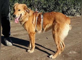 Otschi, noch ausbaufähig