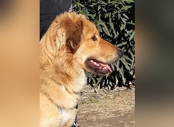 Otschi, noch ausbaufähig