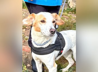 Bimba, schon ziemlich eigenständig
